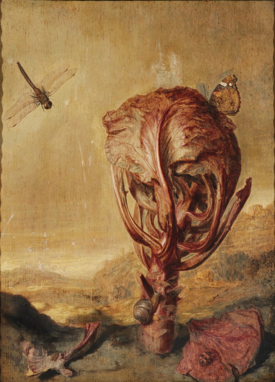 Un chou rouge, un escargot, un papillon, une libellule, une abeille et un cloporte dans un paysage - Margarethe de Heer