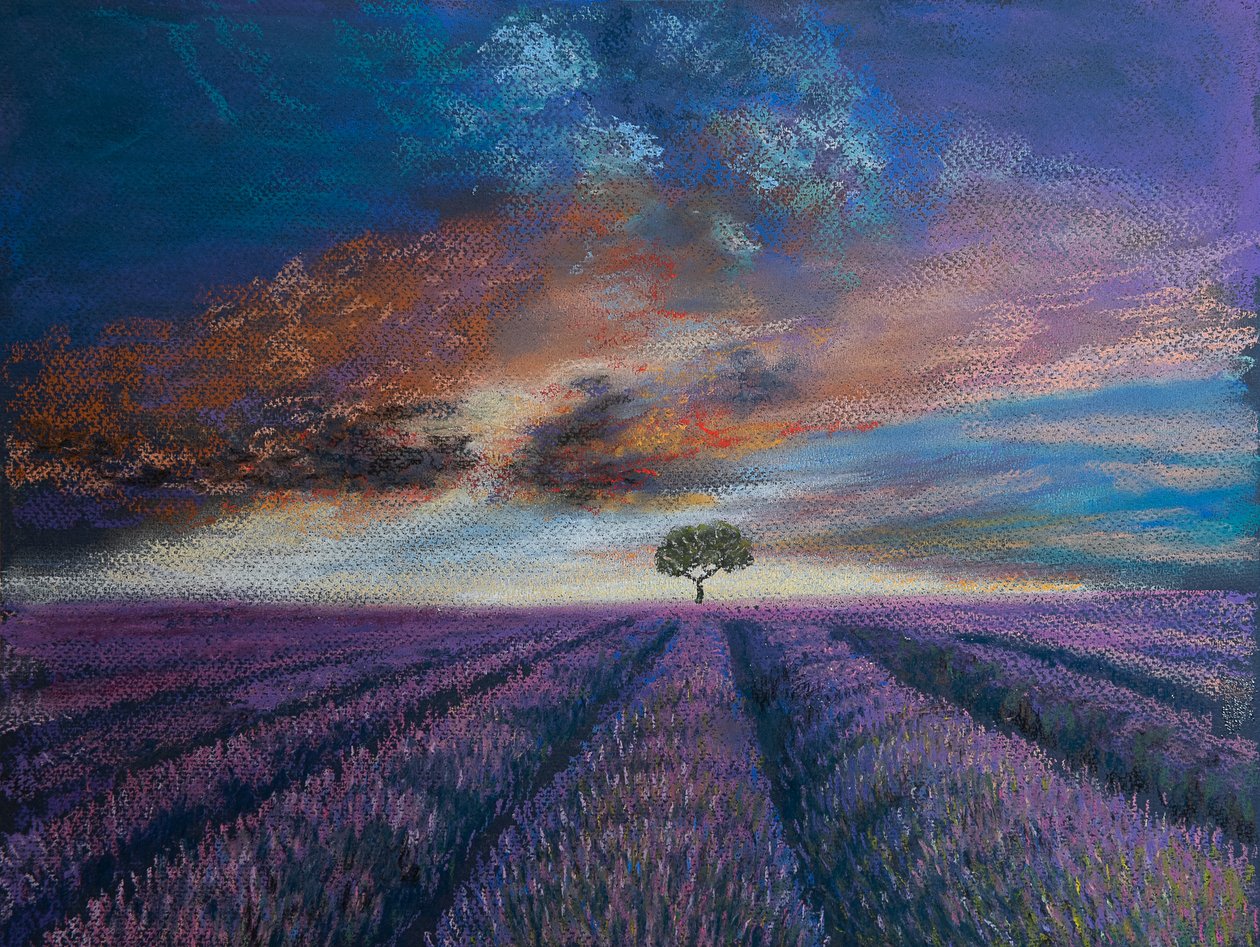 Champs de lavande de Normandie - Margo Starkey
