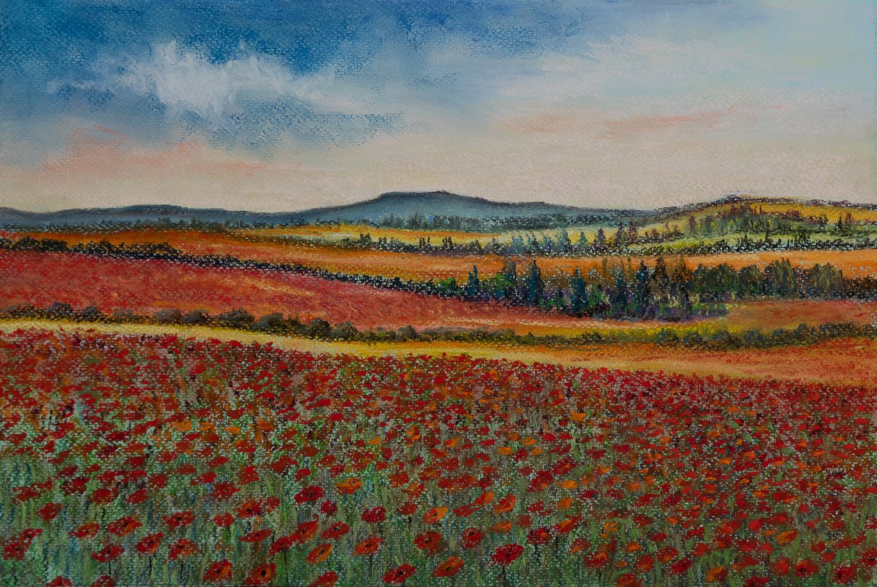 Champs de coquelicots, Flandres - Margo Starkey