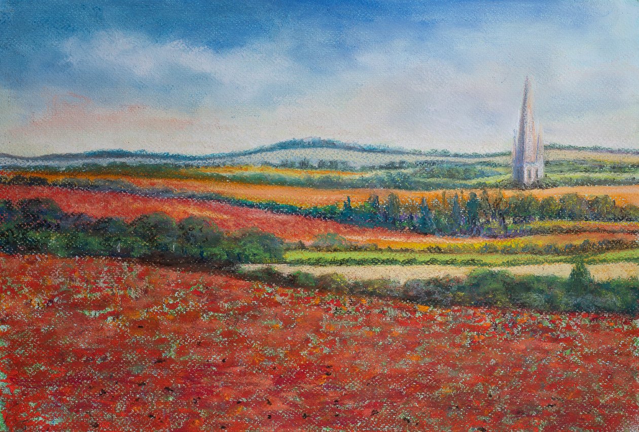 Champs de coquelicots, 2021 - Margo Starkey