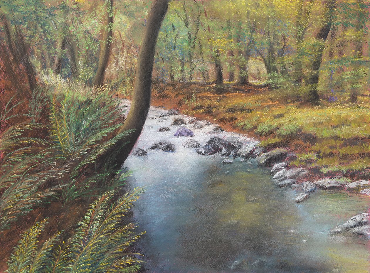 Printemps dans les bois - Margo Starkey