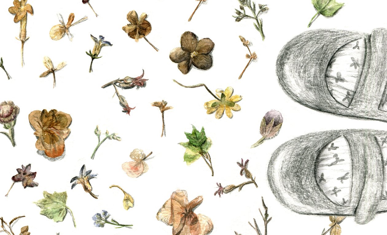 Fleurs pressées, 2020 - Maria Basea