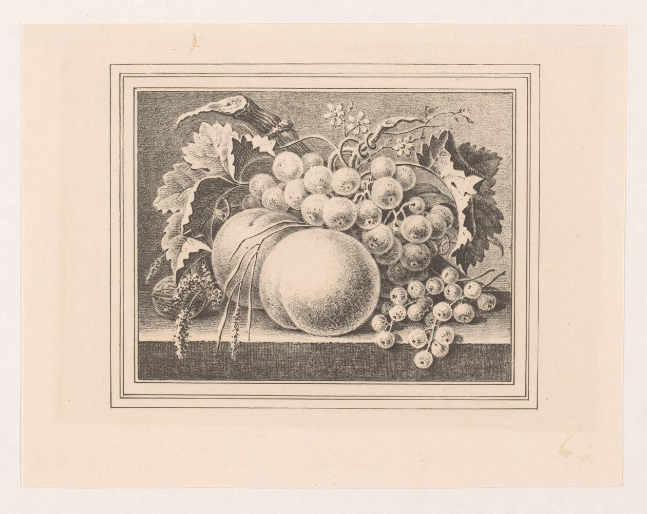 Composition avec des fruits dans un cadre - Maria Geertruida de Goeje Barbiers (attributed to)