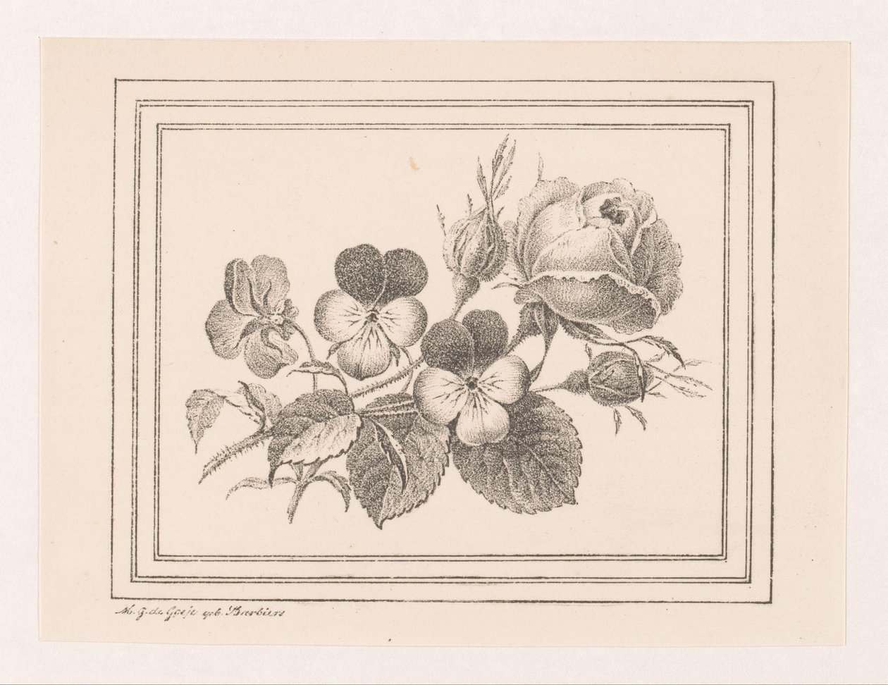 Roses et violettes - Maria Geertruida de Goeje Barbiers