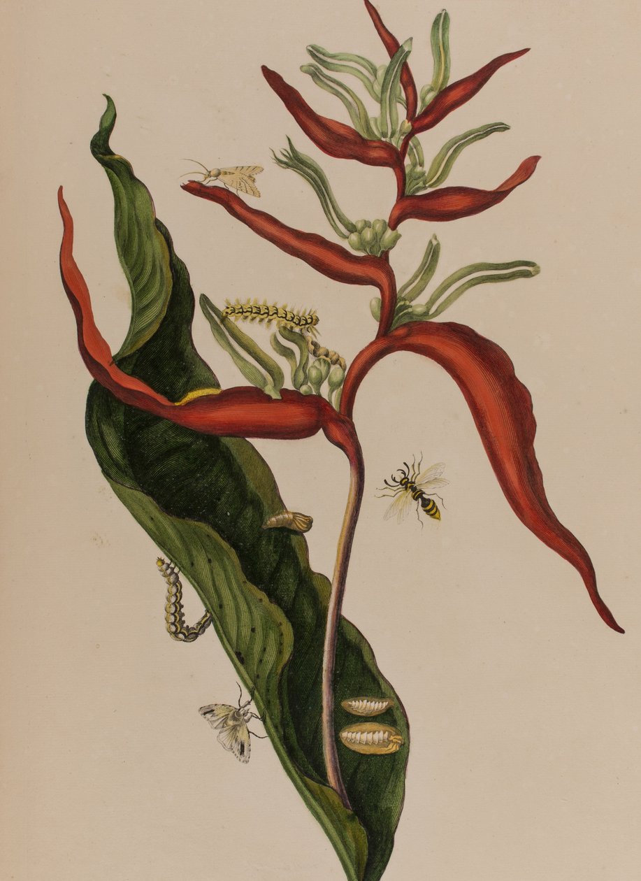 Illustration de 