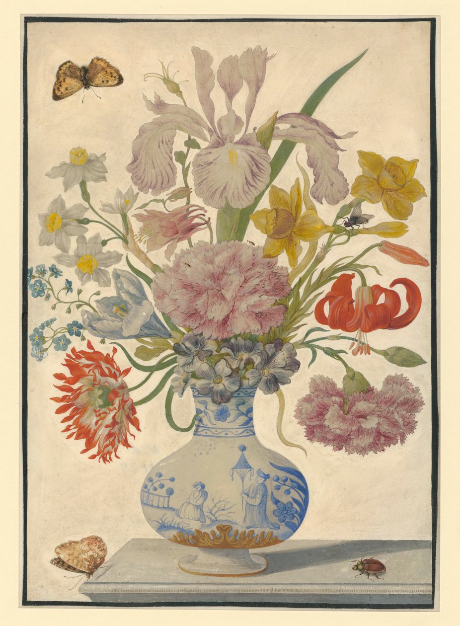 Vase chinois avec iris, lys et œillets. Sur la table, un papillon à gauche et un hanneton à droite - Maria Sibylla Merian
