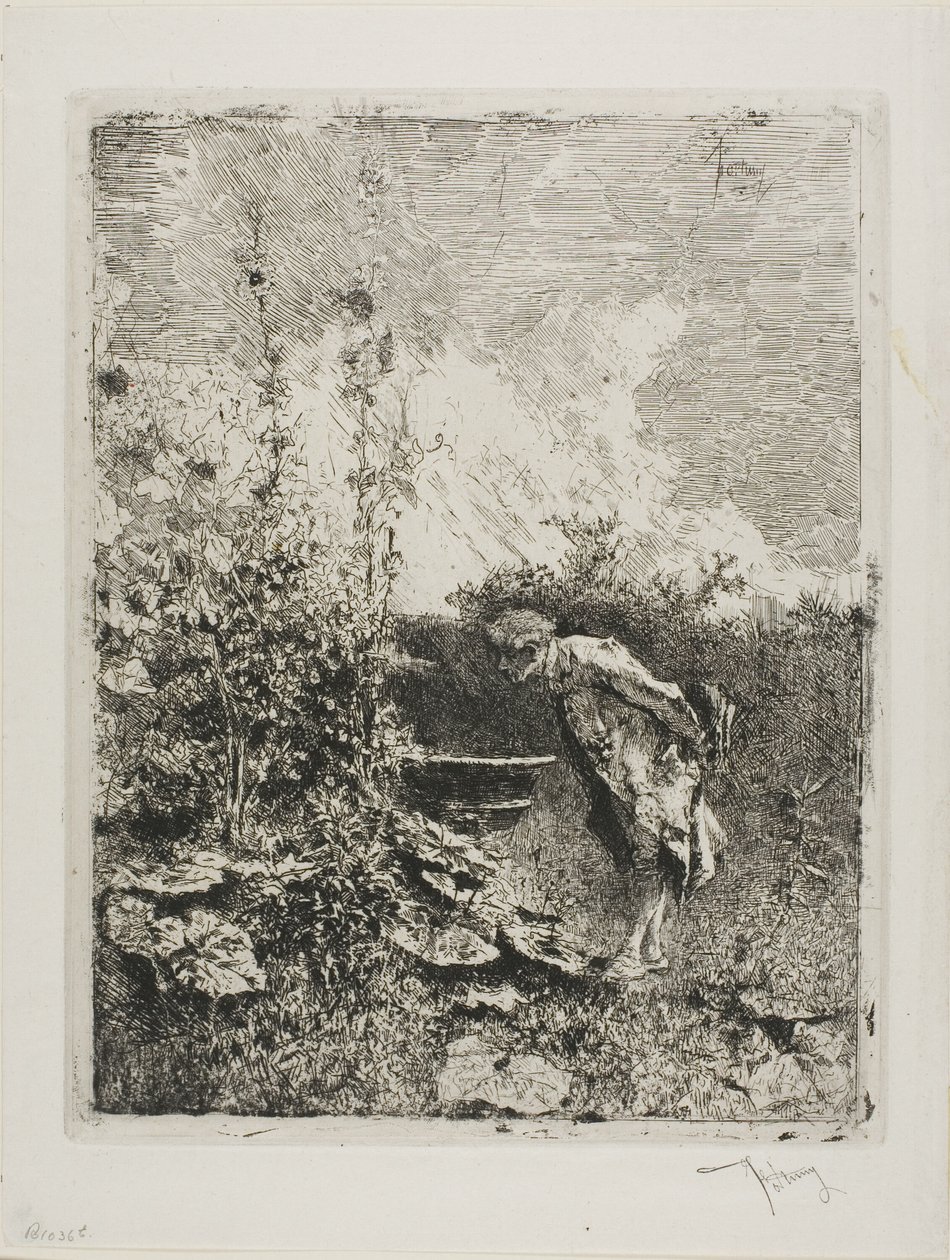 Amateur de Jardin - Mariano Fortuny y Marsal