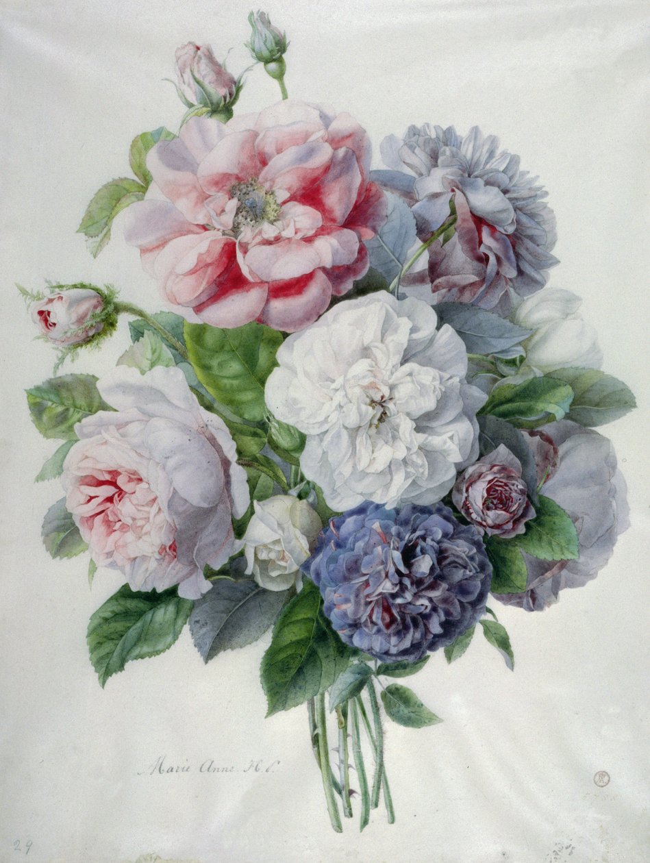 Pièces florales - Marie Anne