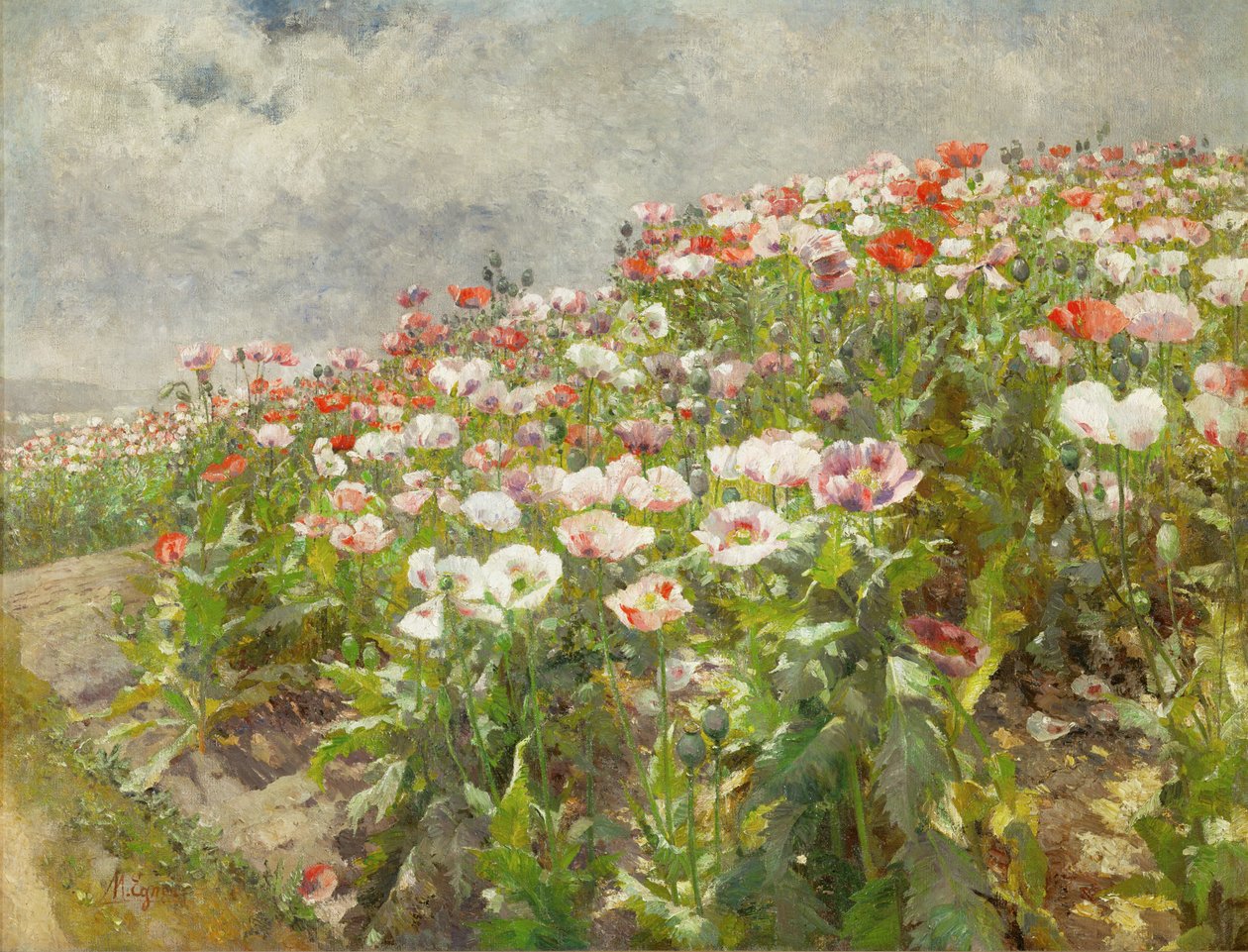 Coquelicots en fleurs (huile sur toile) - Marie Egner