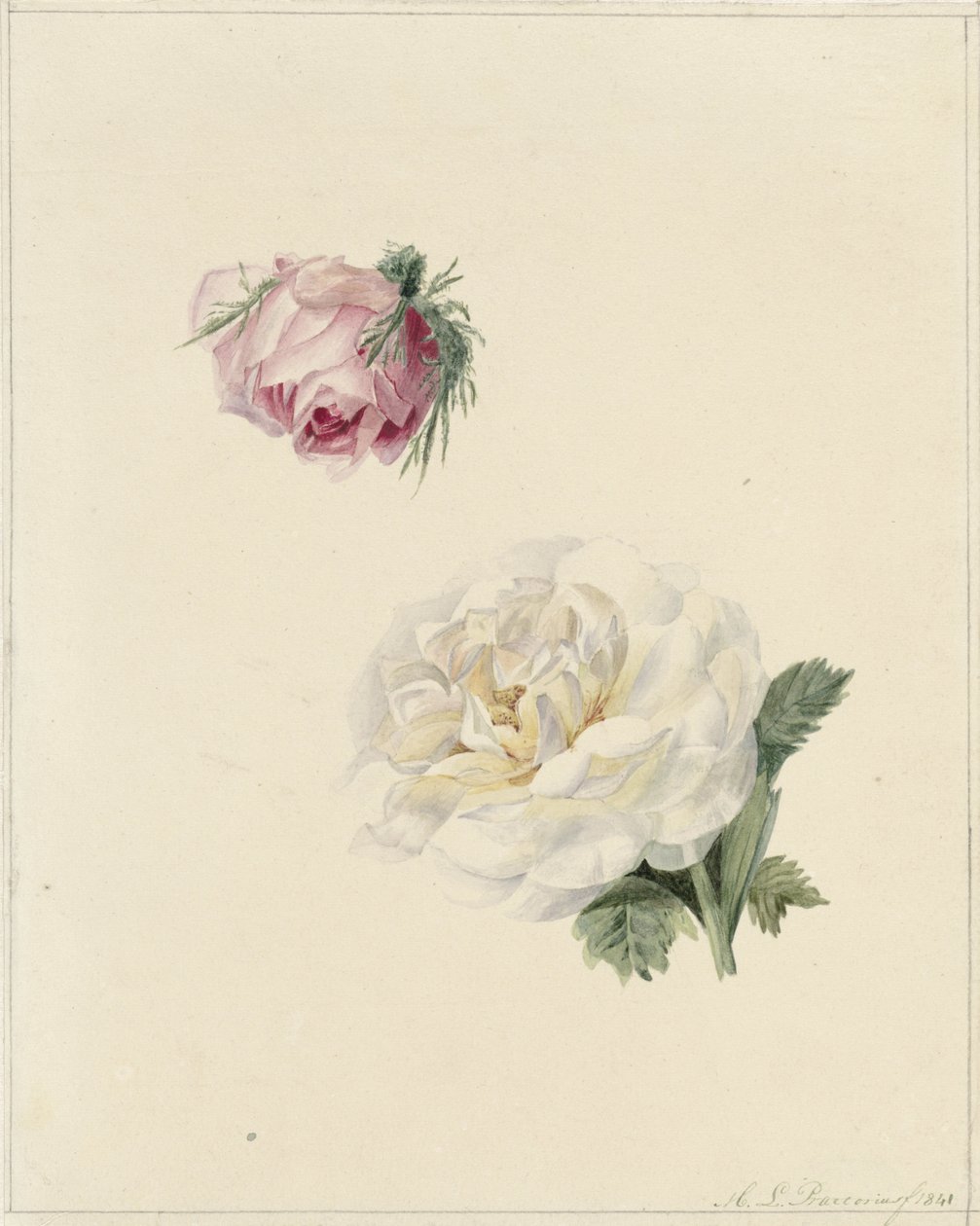 Études d