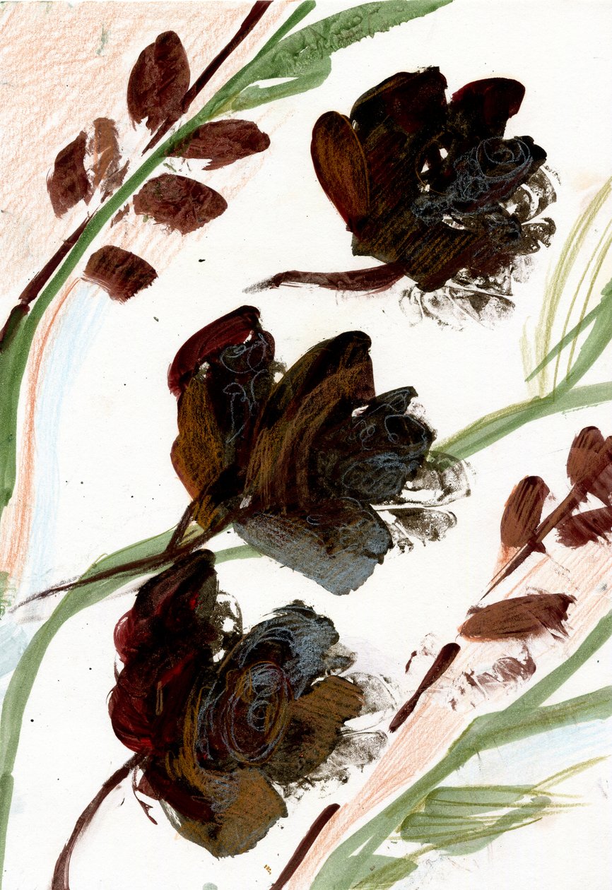 Fleurs séchées - Marina Falco