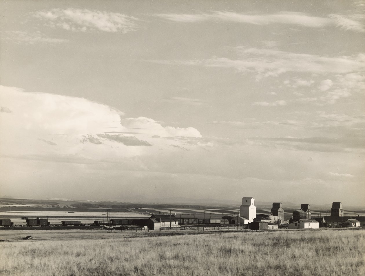 Silos à grains dans le Midwest, "grenier à blé des États-Unis" / Grandes Plaines, Carter, Montana - Marion Post Wolcott
