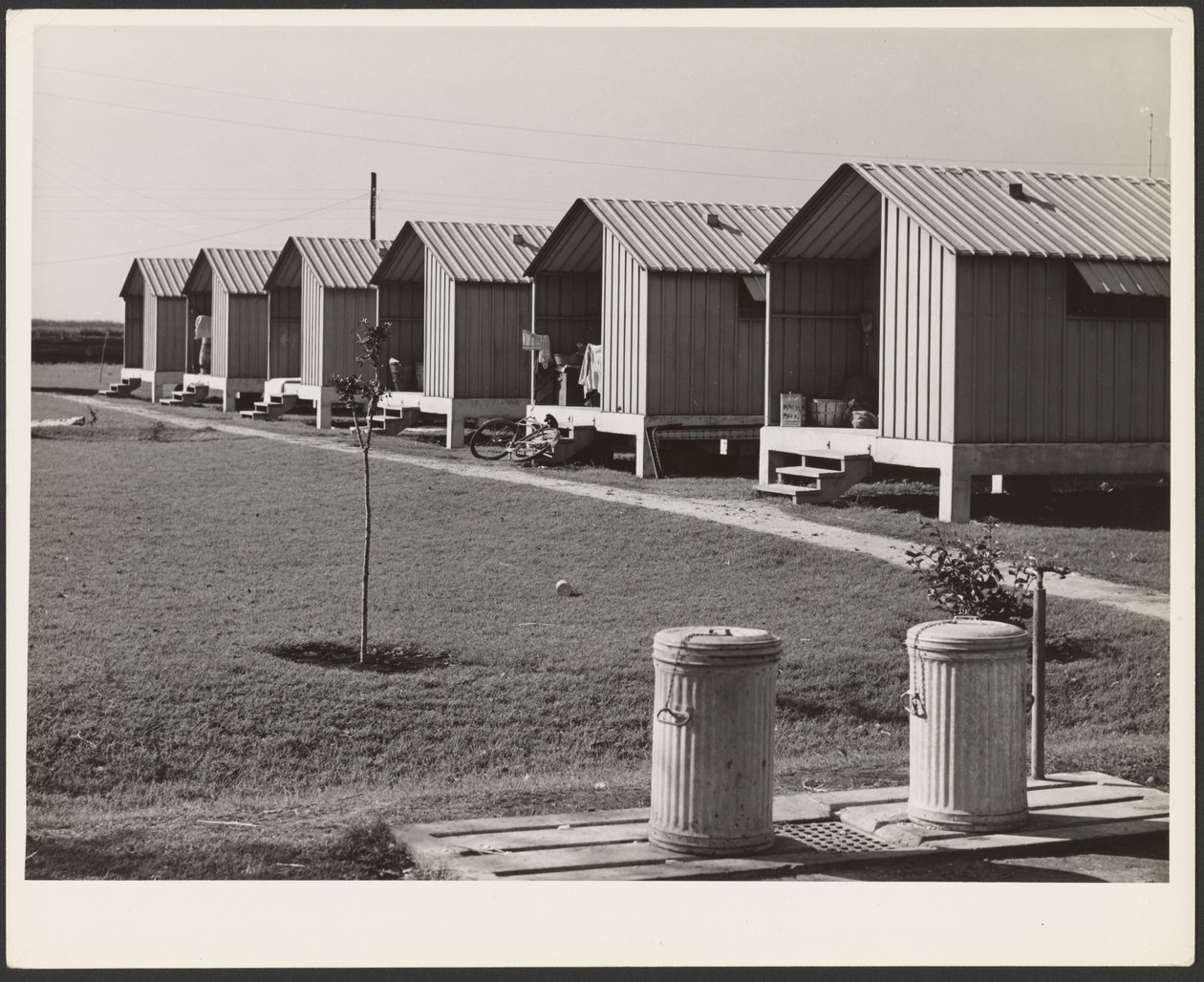 Logements pour les cueilleurs de légumes migrateurs, camps de travail Osceola, construits par la FSA, Belle Glade, Floride - Marion Post Wolcott
