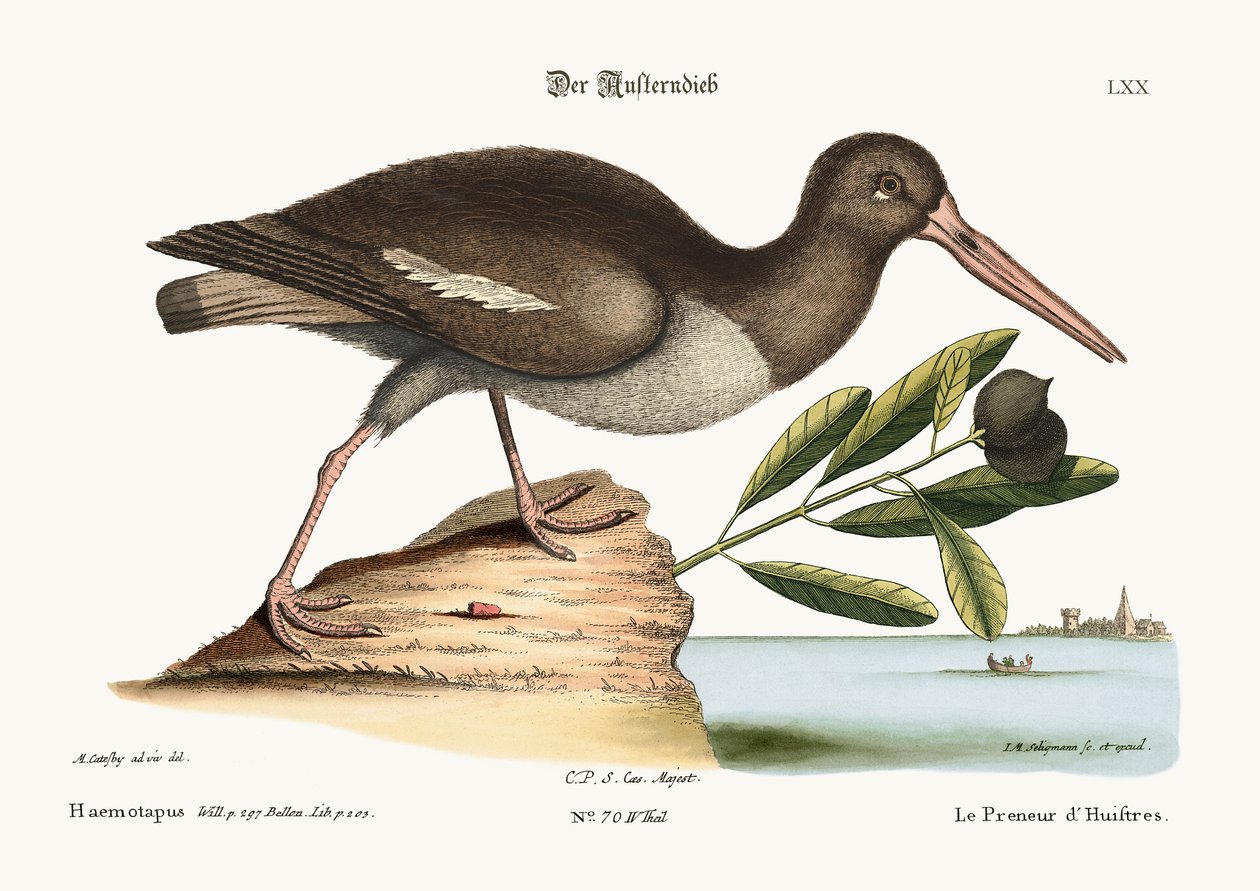 Le pêcheur d