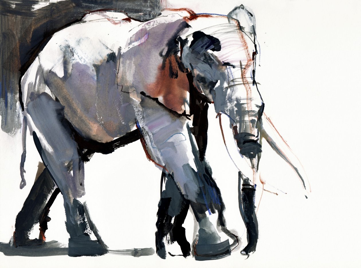 Éléphant africain, 2012 - Mark Adlington