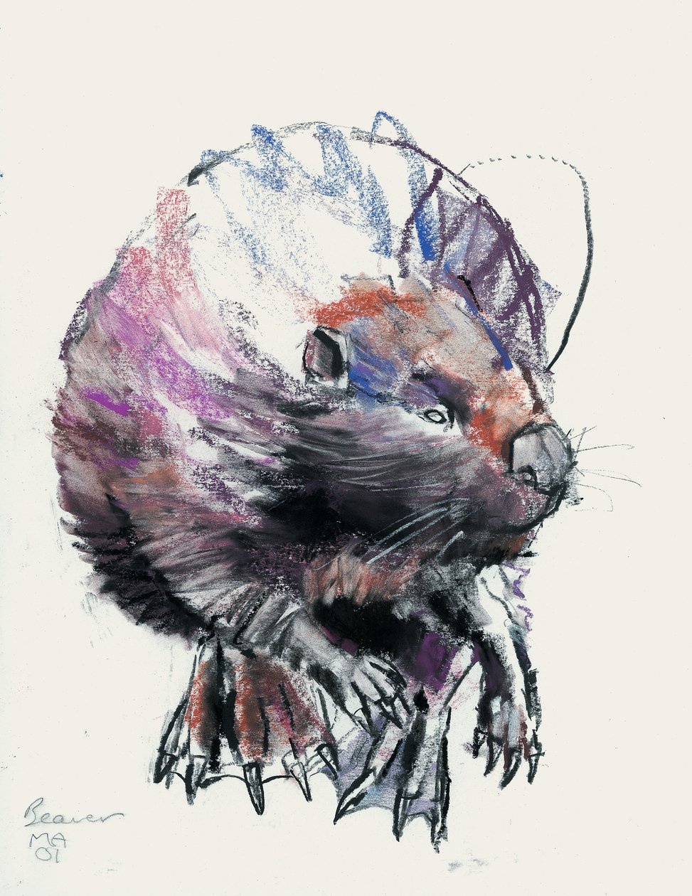 Castor, 2001 - Mark Adlington