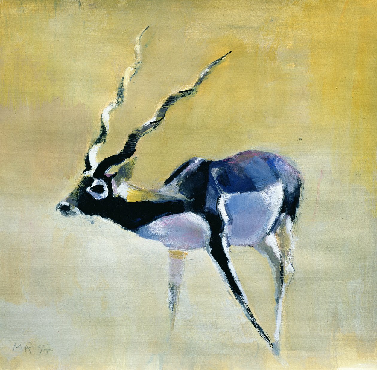 Cerf noir, Velavadar, 1997 - Mark Adlington