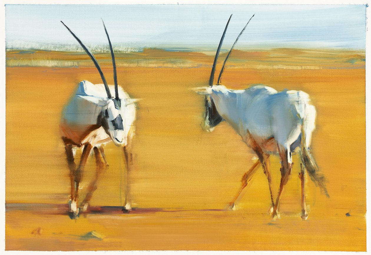 Oryx d
