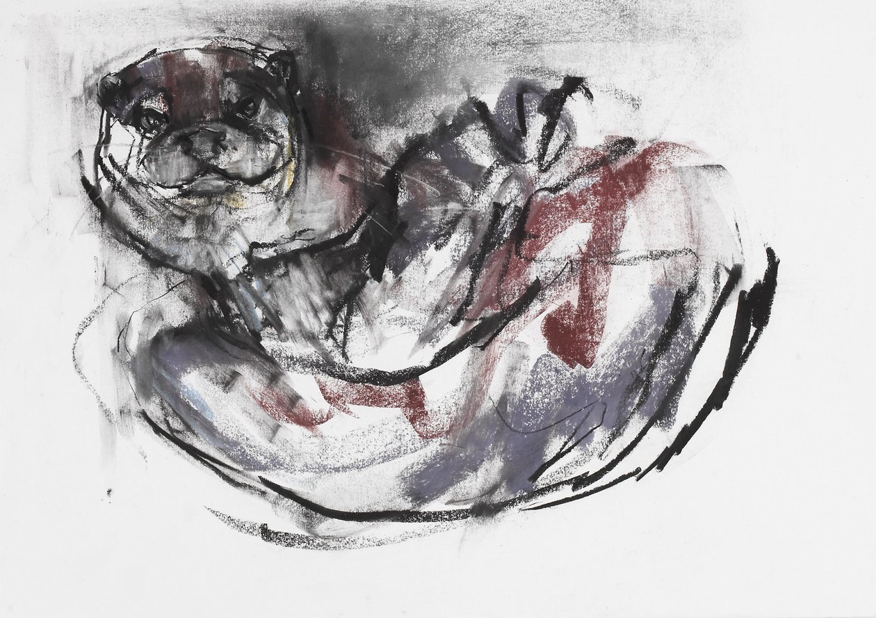 Loutre de rivière - Mark Adlington