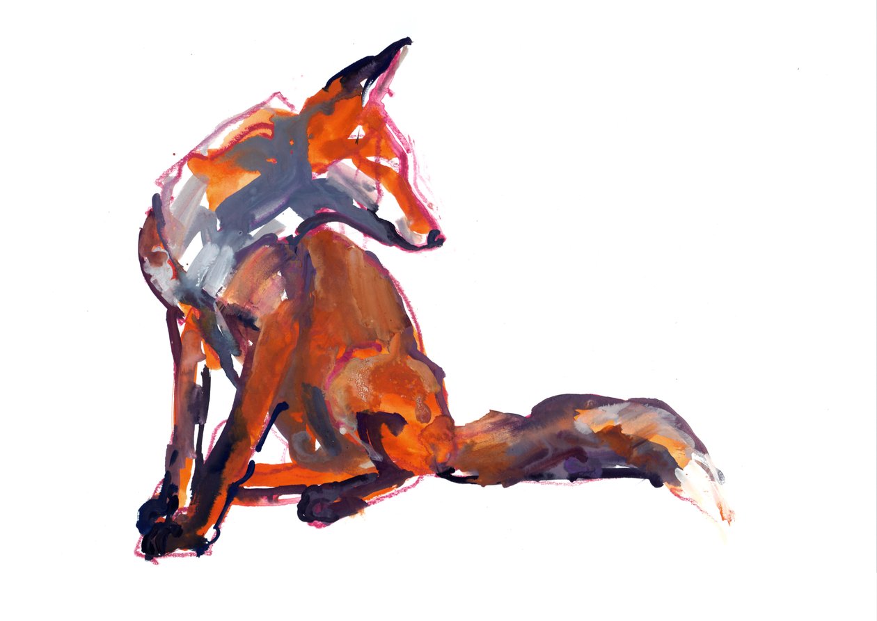 Jeune élégant (renard roux) - Mark Adlington