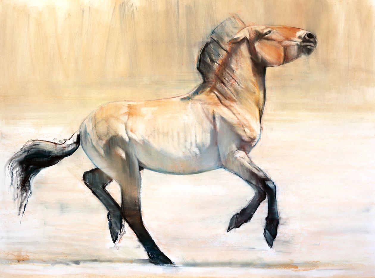 Equus (Przewalski), 2014 - Mark Adlington