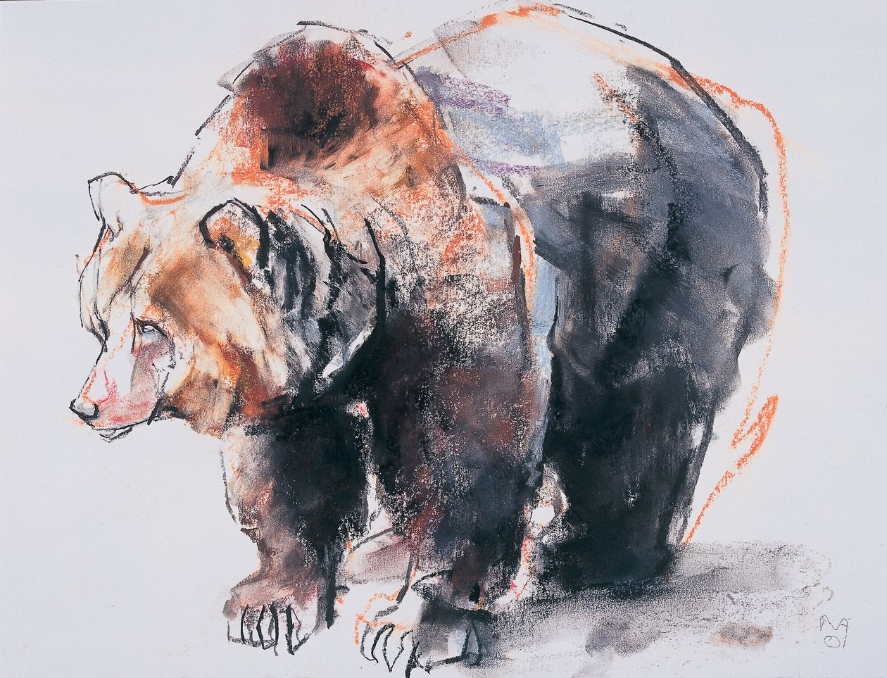 Ours brun européen, 2001 - Mark Adlington