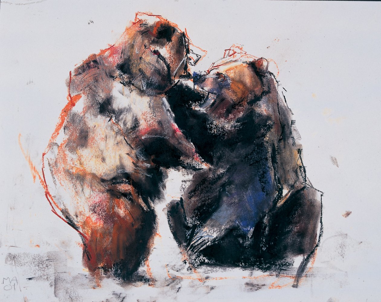 Ours bruns européens, 2001 - Mark Adlington