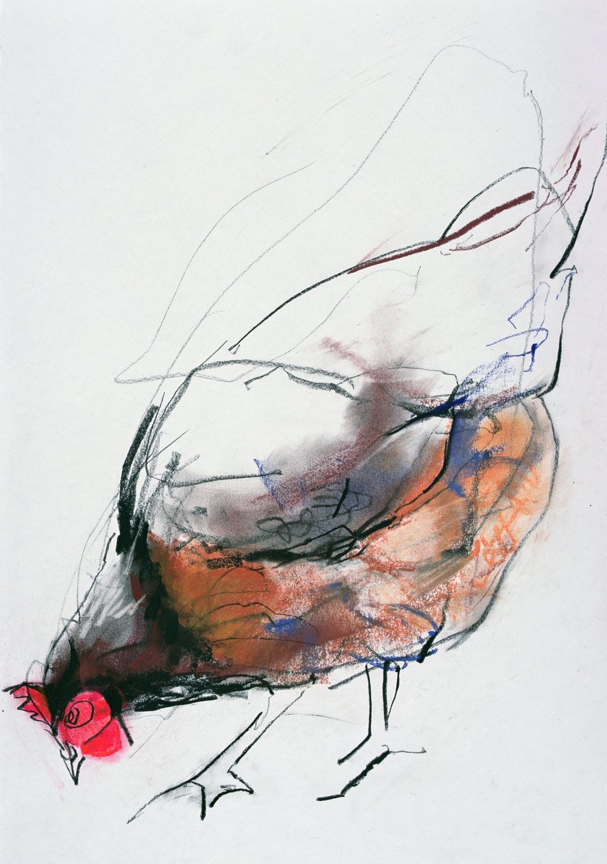 Poule nourrissante, Trasierra, 1998 - Mark Adlington