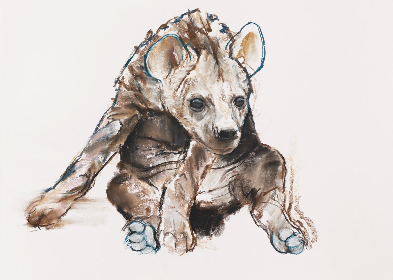 Petit hyène (tête baissée), 2019 - Mark Adlington