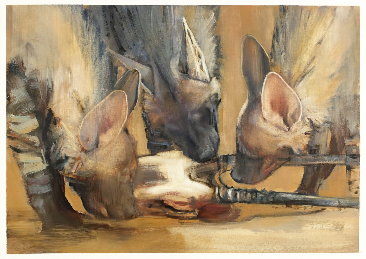 Attaque de meute (jeunes hyènes rayées) - Mark Adlington