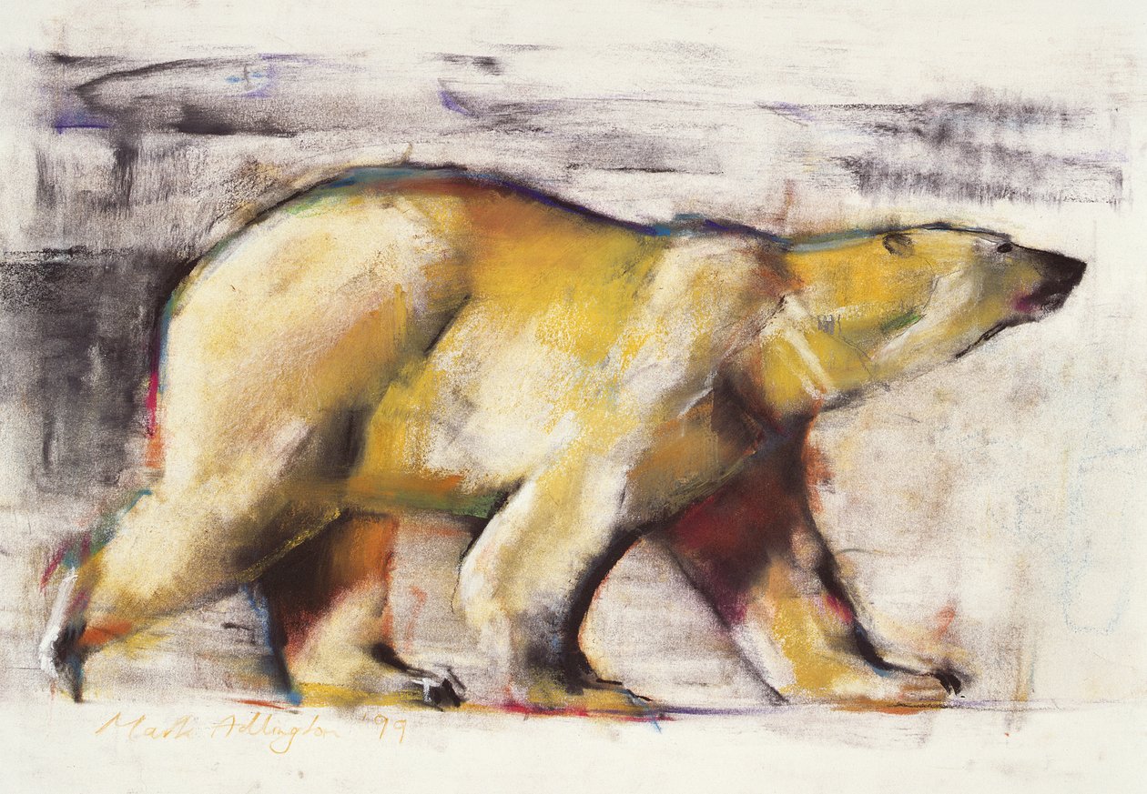 Ours polaire - Mark Adlington