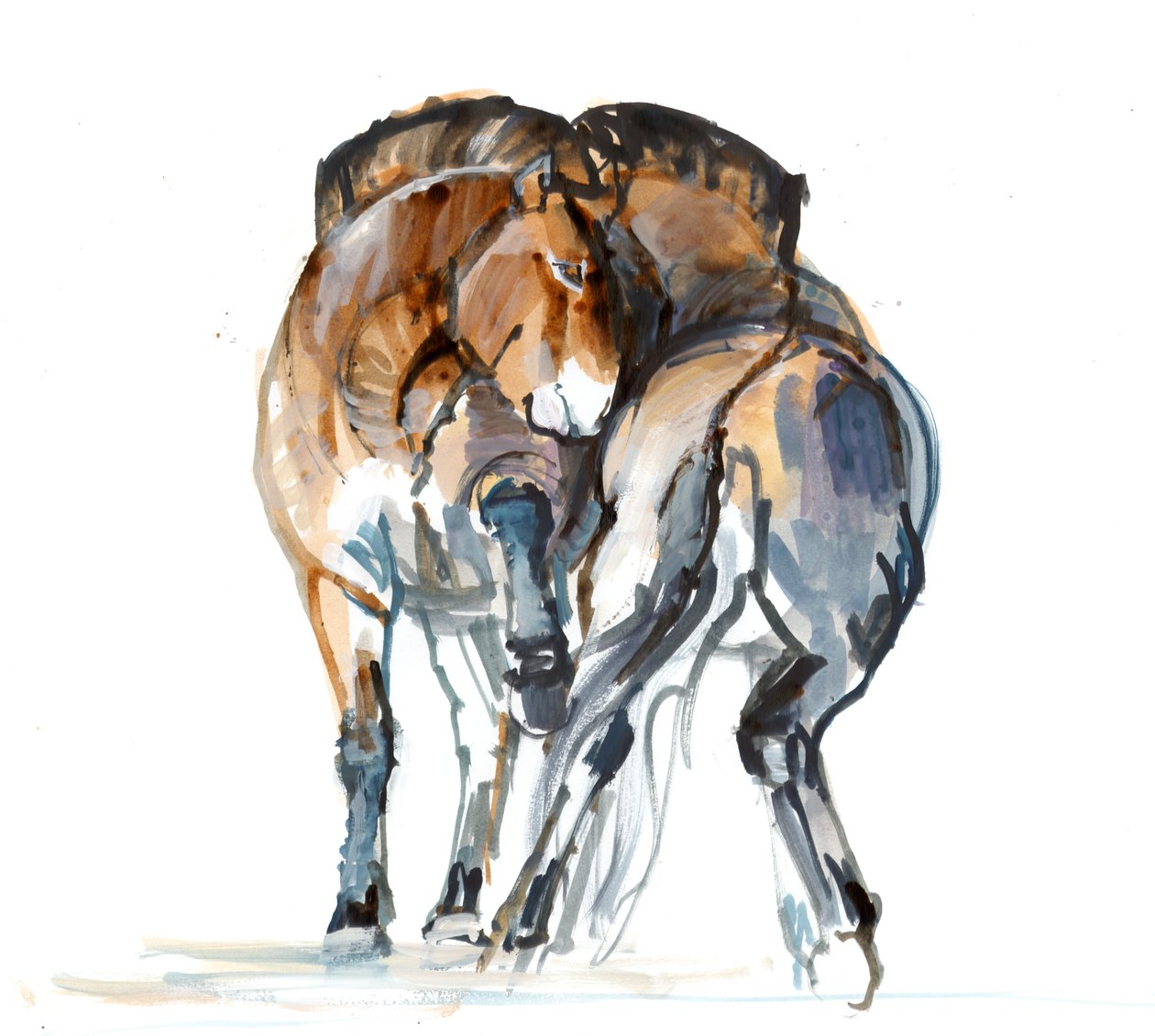 Danse de la puissance (Przewalski), 2013 - Mark Adlington