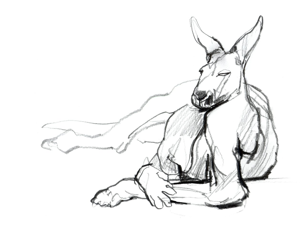 Athlète au repos (Kangourou rouge), 2012 - Mark Adlington