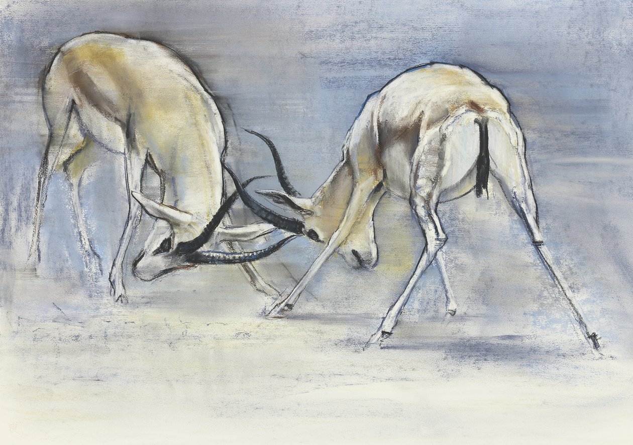 Gazelles des sables, 2009 - Mark Adlington