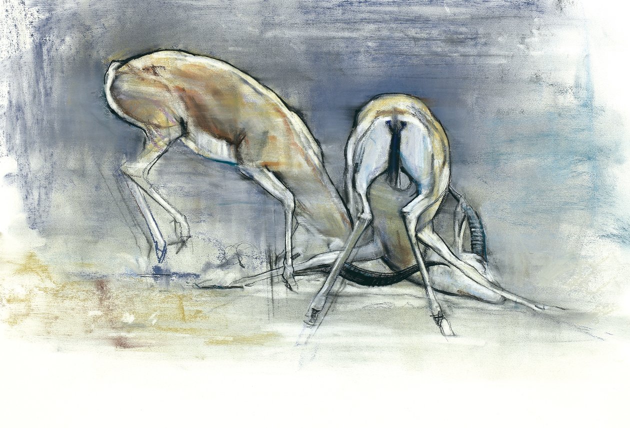 Gazelles des sables, 2009 - Mark Adlington