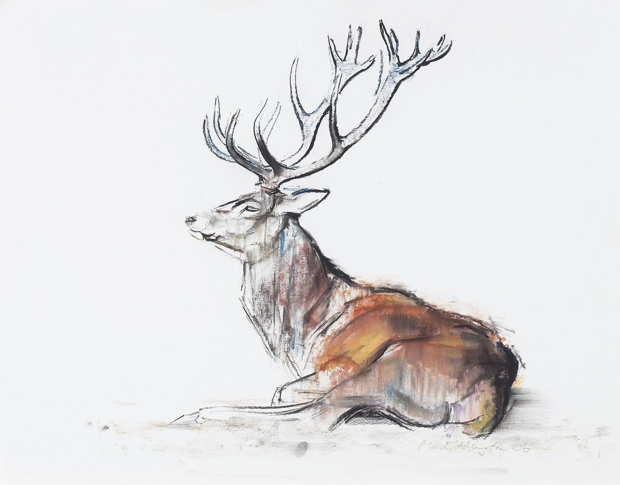 Cerf assis, 2006 - Mark Adlington