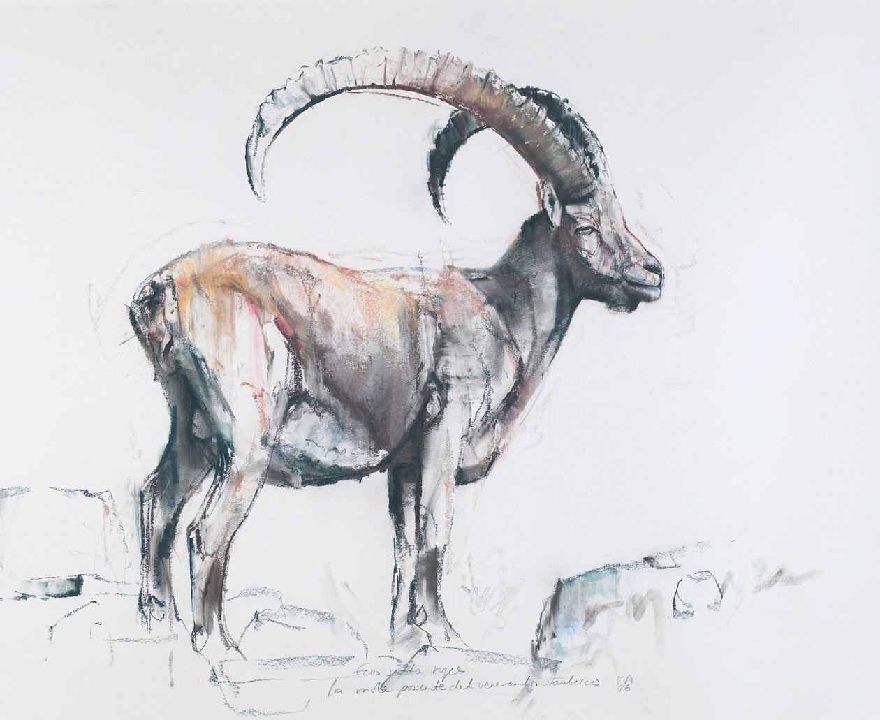 Venerando Stambecco, 2006 - Mark Adlington