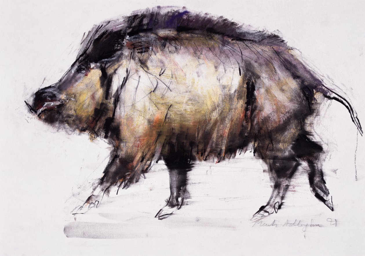 Sanglier, 1999 - Mark Adlington