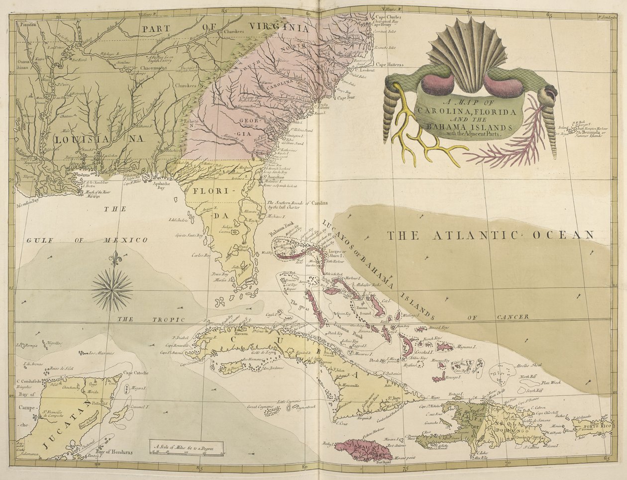 Carte de la Caroline, de la Floride et des Îles Bahamas - Mark Catesby
