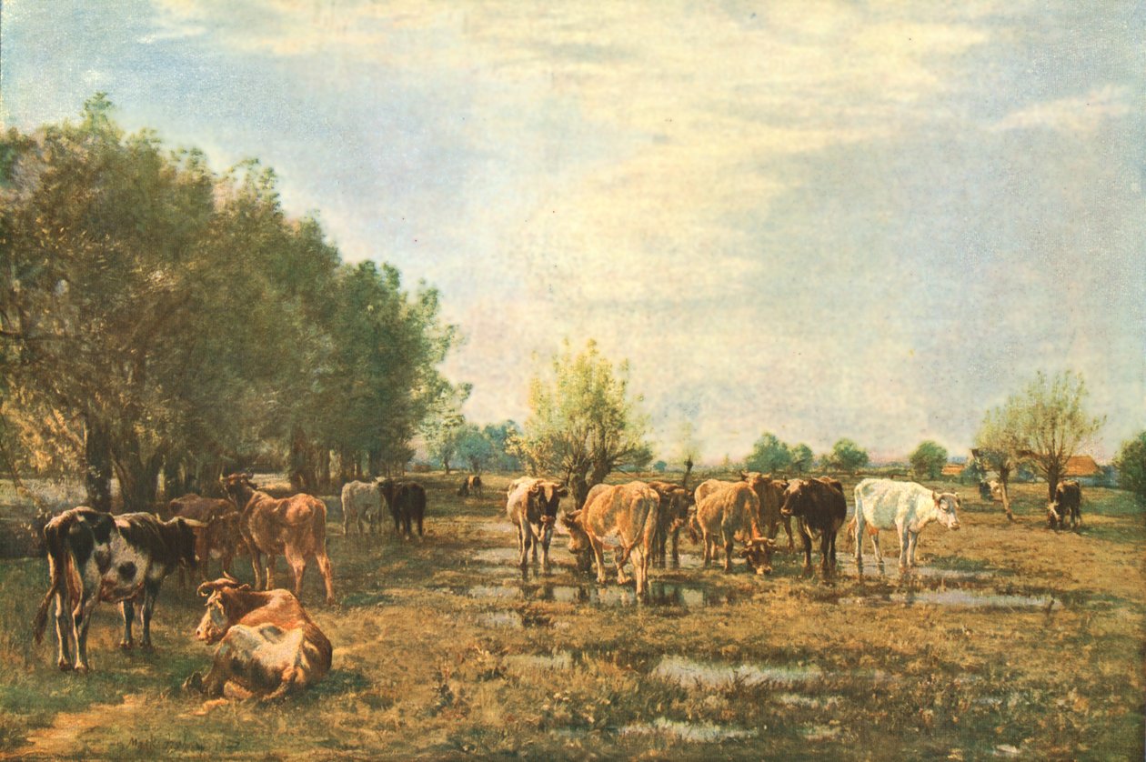 Prairies humides avec du bétail, 1877, vers 1930 - Mark Fisher