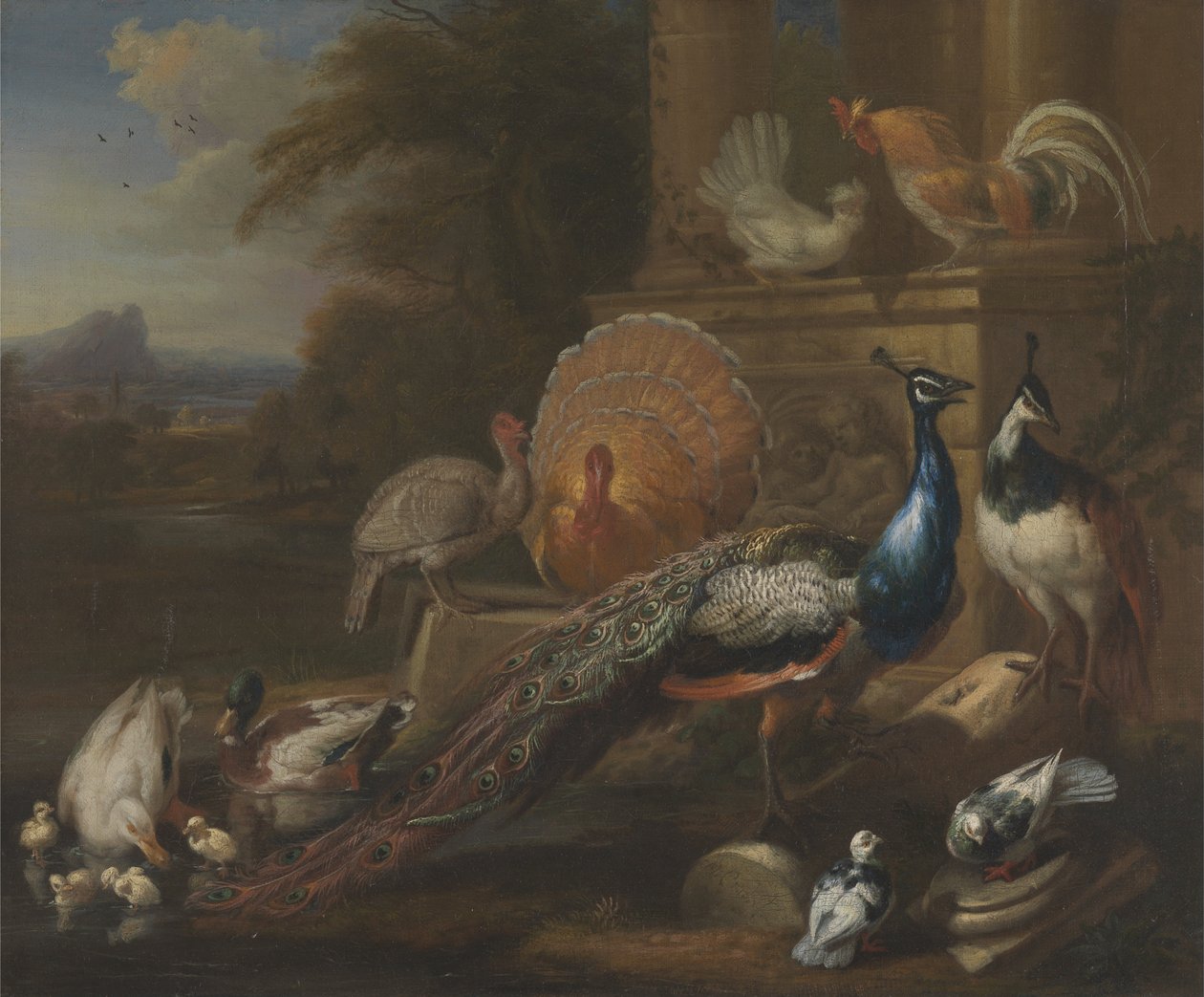 Paons, colombes, dindes, poules et canards près d