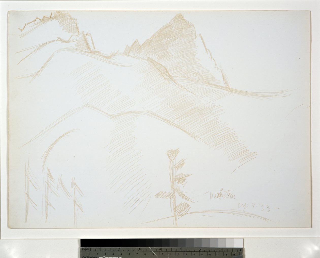 Paysage de montagne avec pins - Marsden Hartley