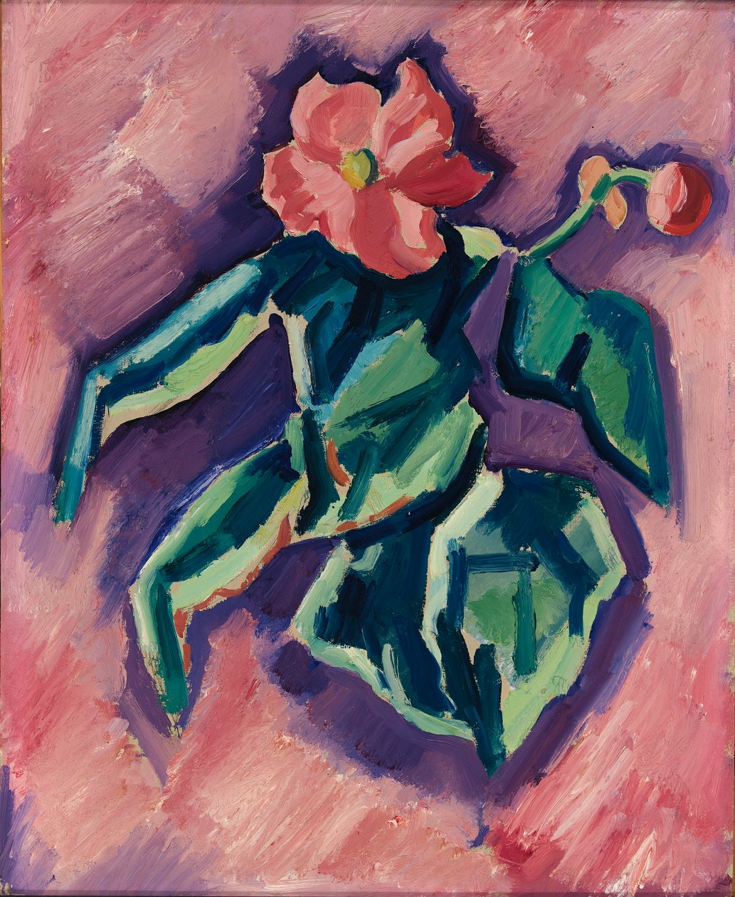 Rosa Begonien - Marsden Hartley