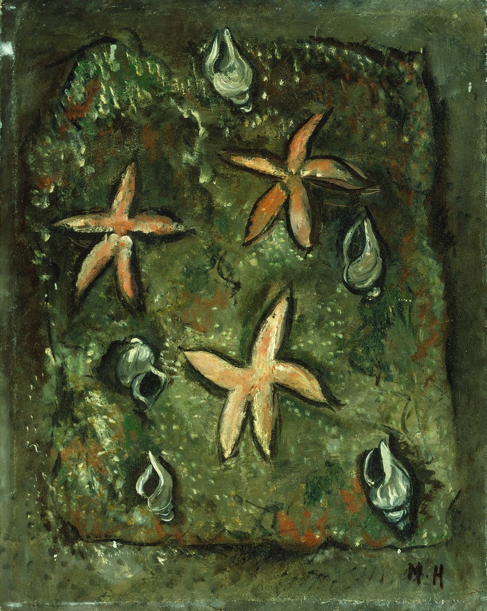 Étoile de mer et coquillages - Marsden Hartley