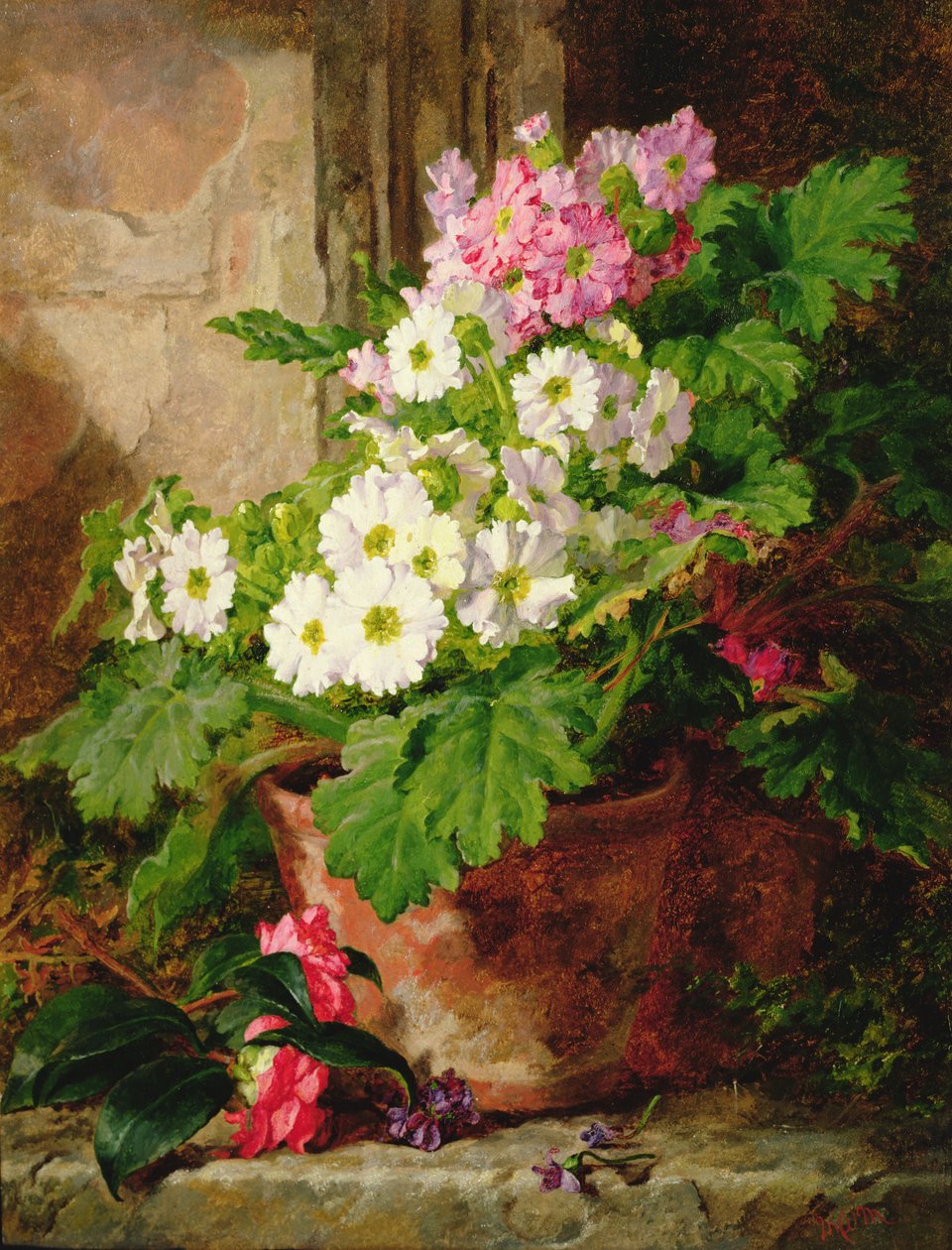 Nature morte de primevères - Martha Darley Mutrie