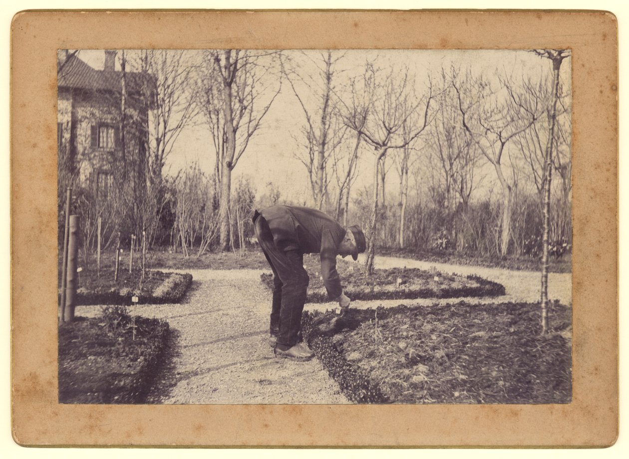Gustave Caillebotte (1848-94) jardinant à Petit Gennevilliers, février 1892 - Martial Caillebotte