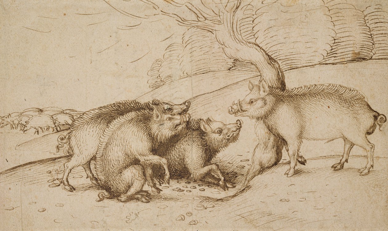 La famille de sangliers - Martin Schongauer