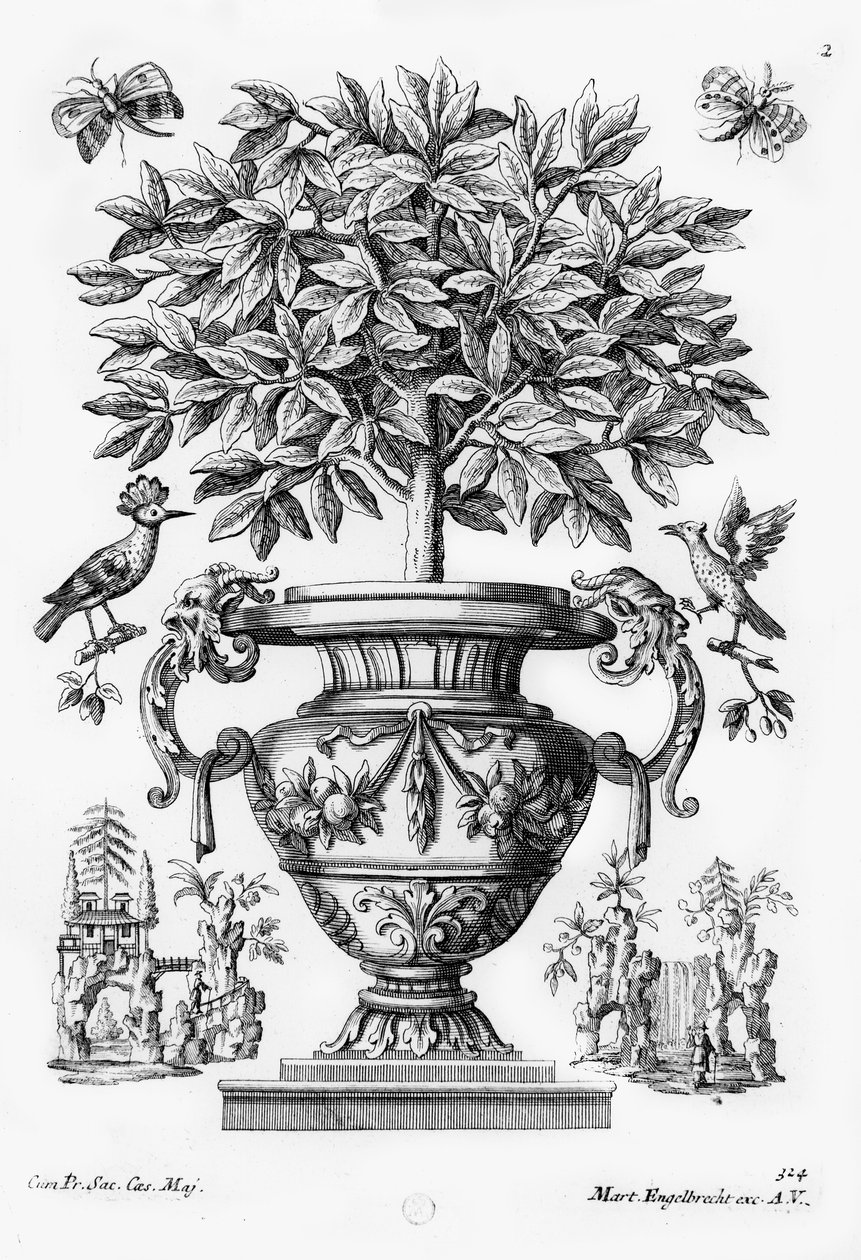 Orangers, vers 1735 - Martin Engelbrecht