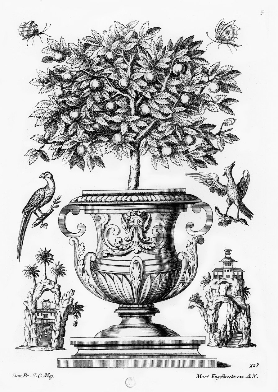Orangers, vers 1735 | Martin Engelbrecht | Estampe d'art