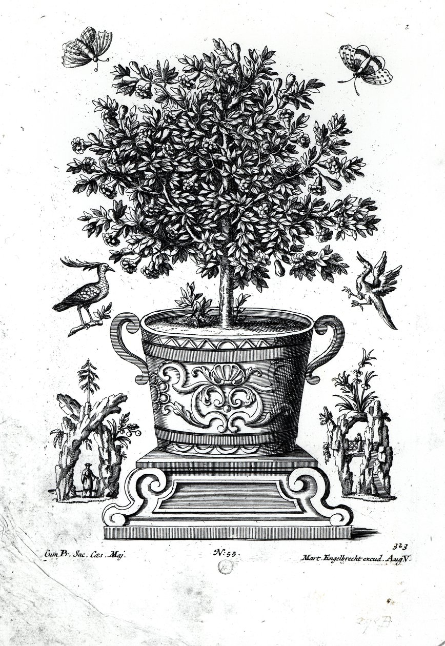 Arbre ornemental dans une urne sur une petite scène - Martin Engelbrecht